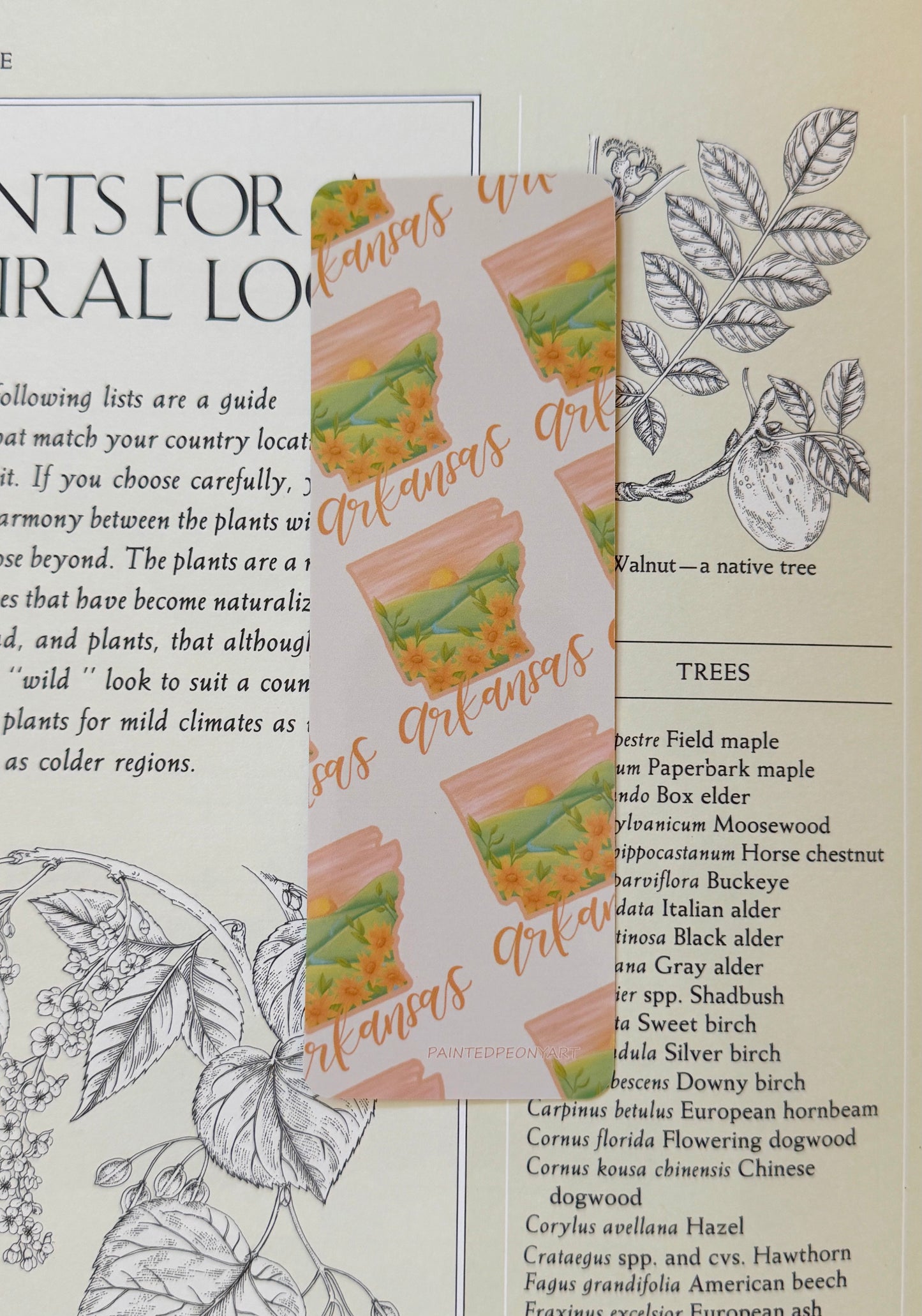 Arkansas Bookmark