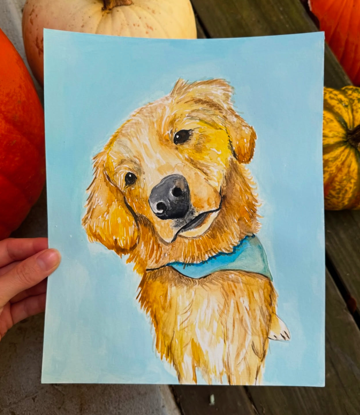 Pet Portraits