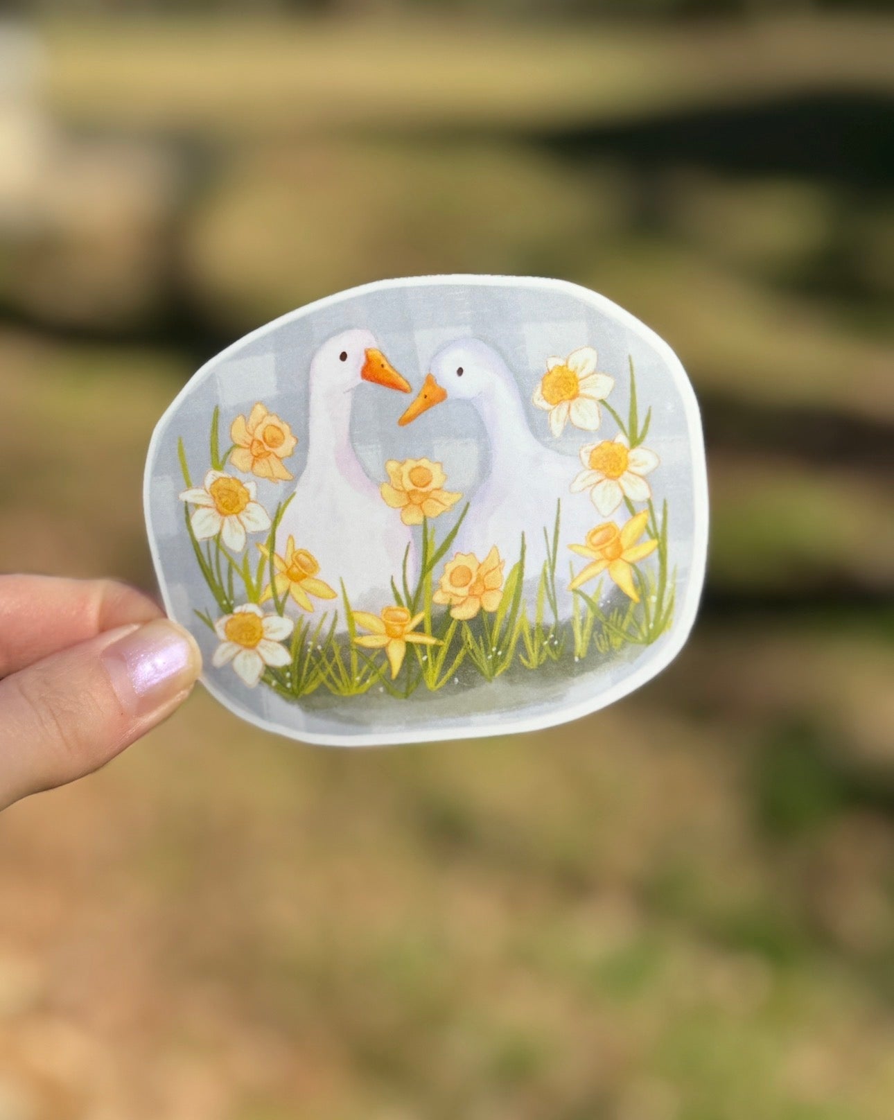 Daffodil Ducks Vinyl Sticker