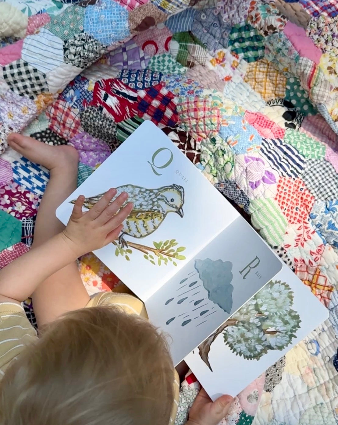 PREORDER - ABC Illustrated Alphabet Board Book