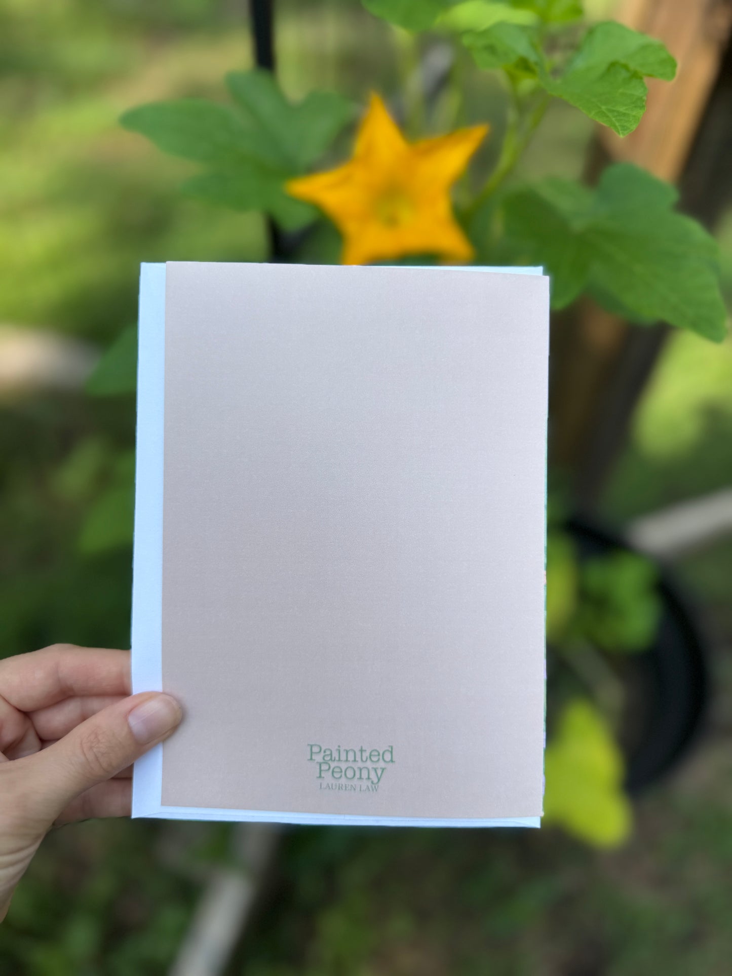 Hummingbird Greeting Card