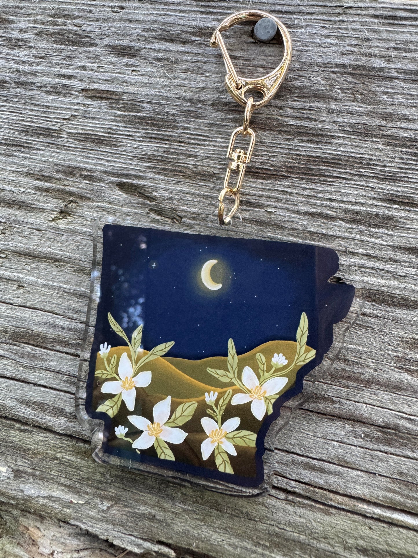 Arkansas Night Keychain