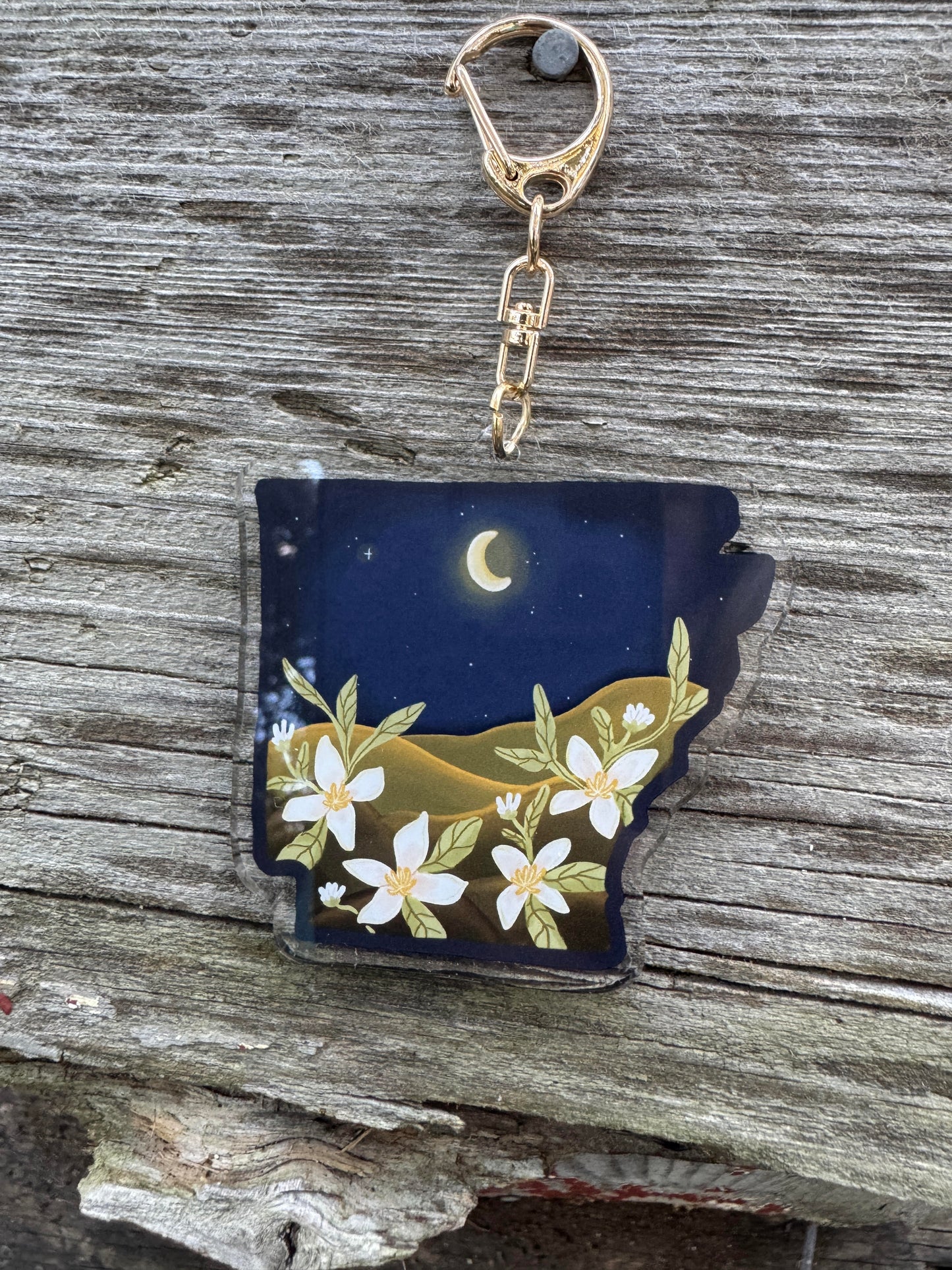 Arkansas Night Keychain