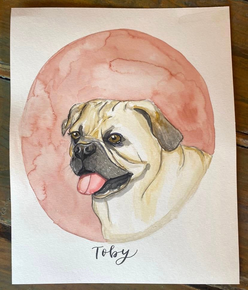 Pet Portraits