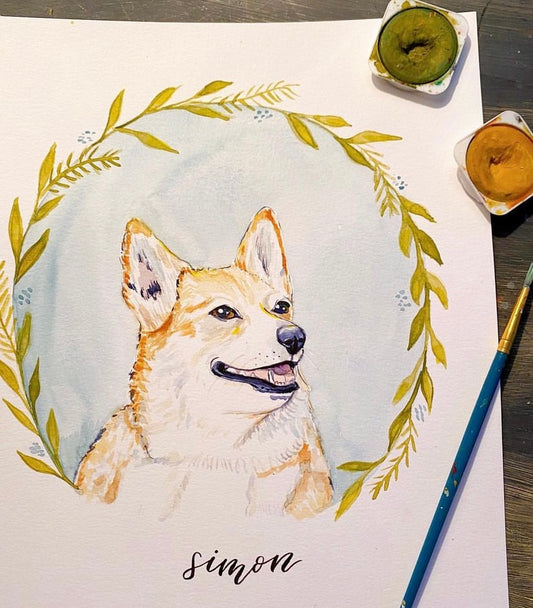 Pet Portraits