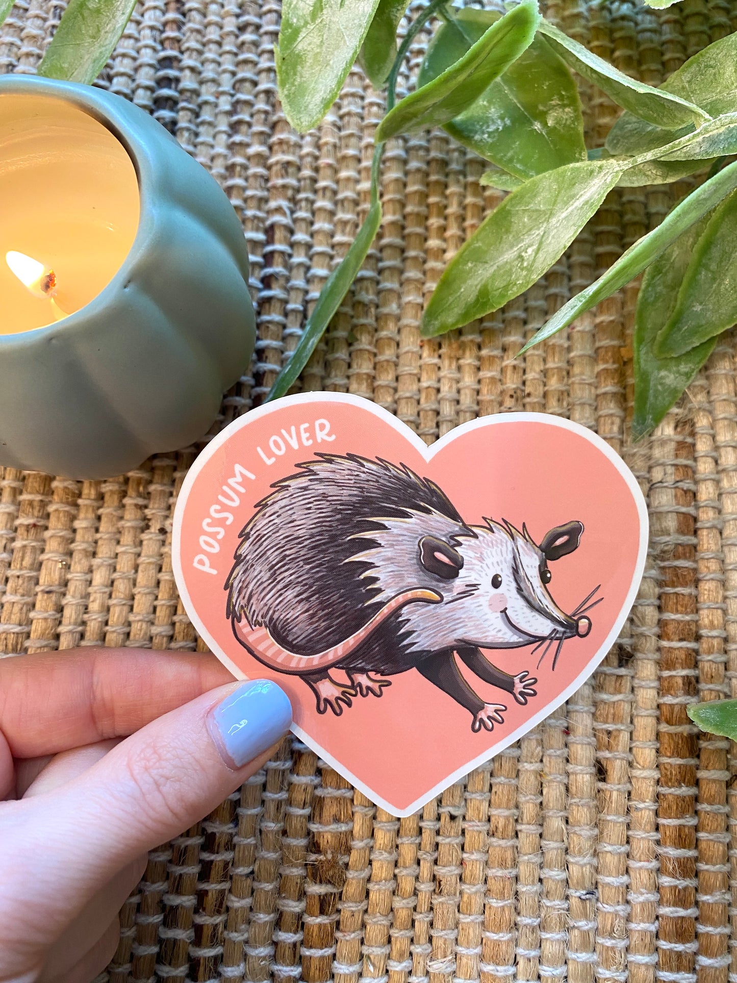 Possum Lover Vinyl Sticker