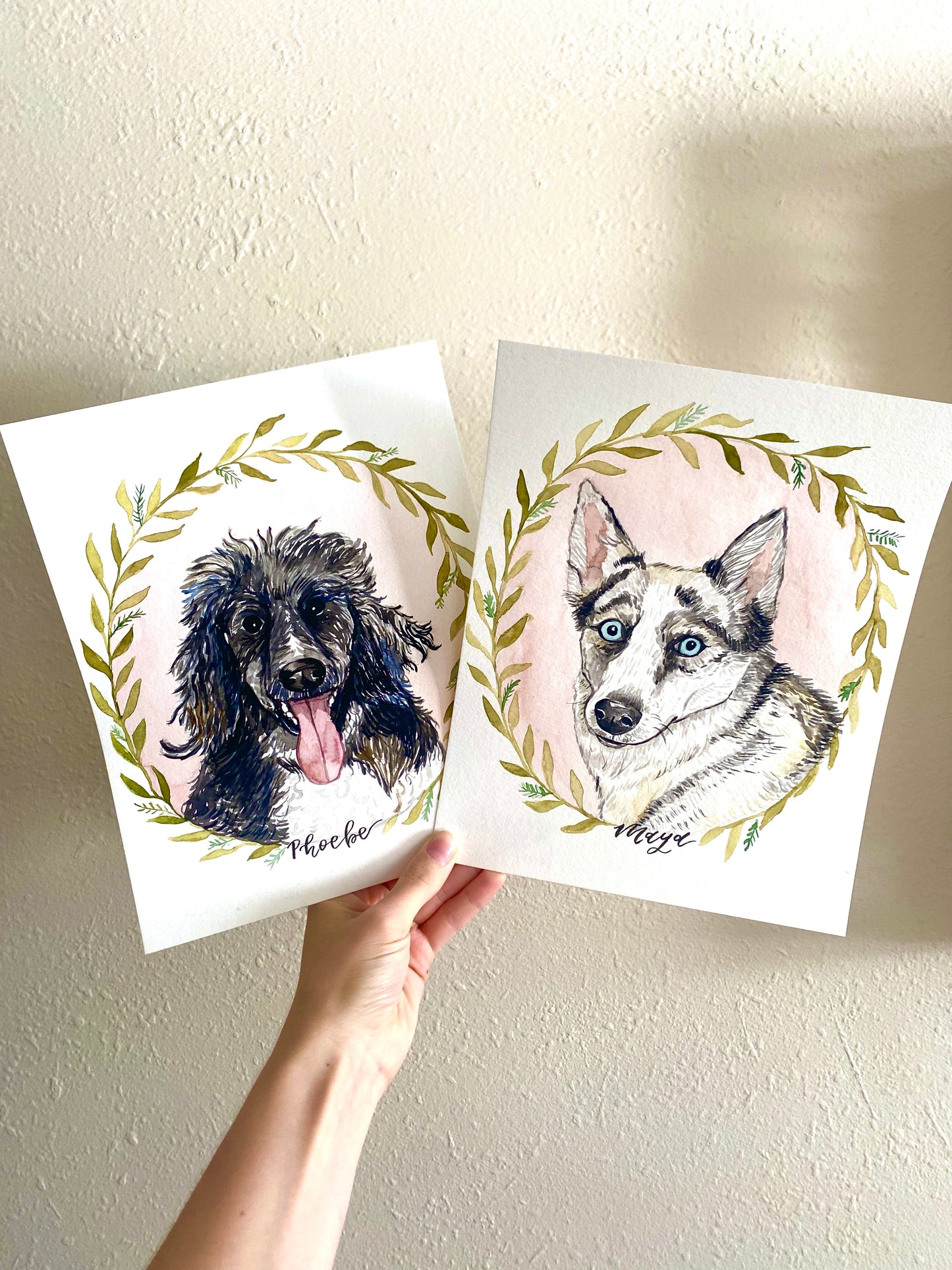 Pet Portraits