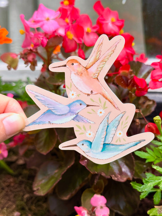 Hummingbird Sticker