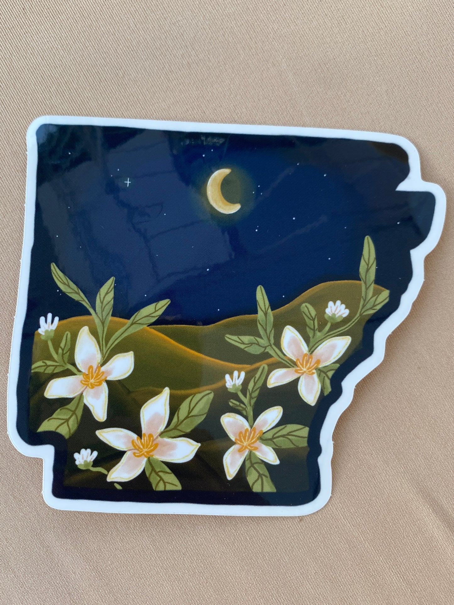 Arkansas Night Vinyl Sticker