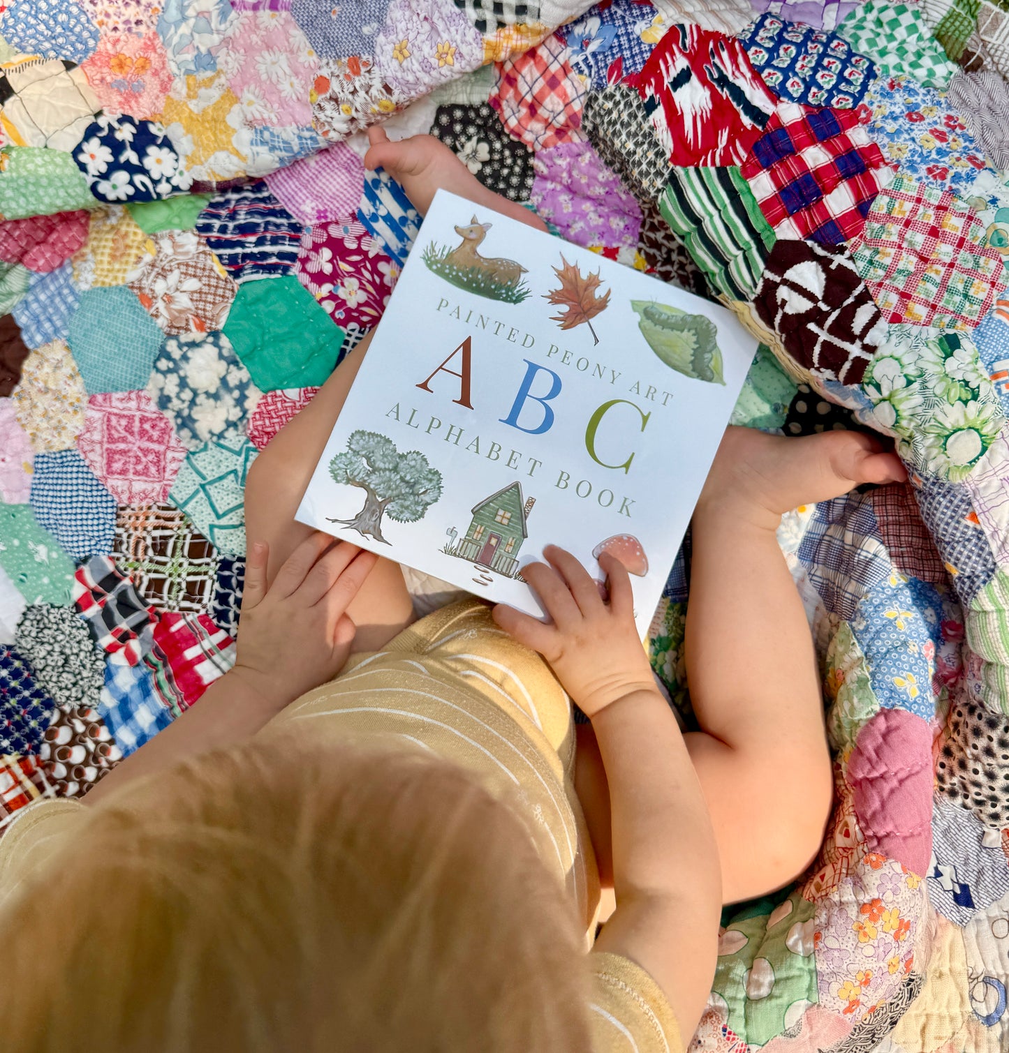 PREORDER - ABC Illustrated Alphabet Board Book