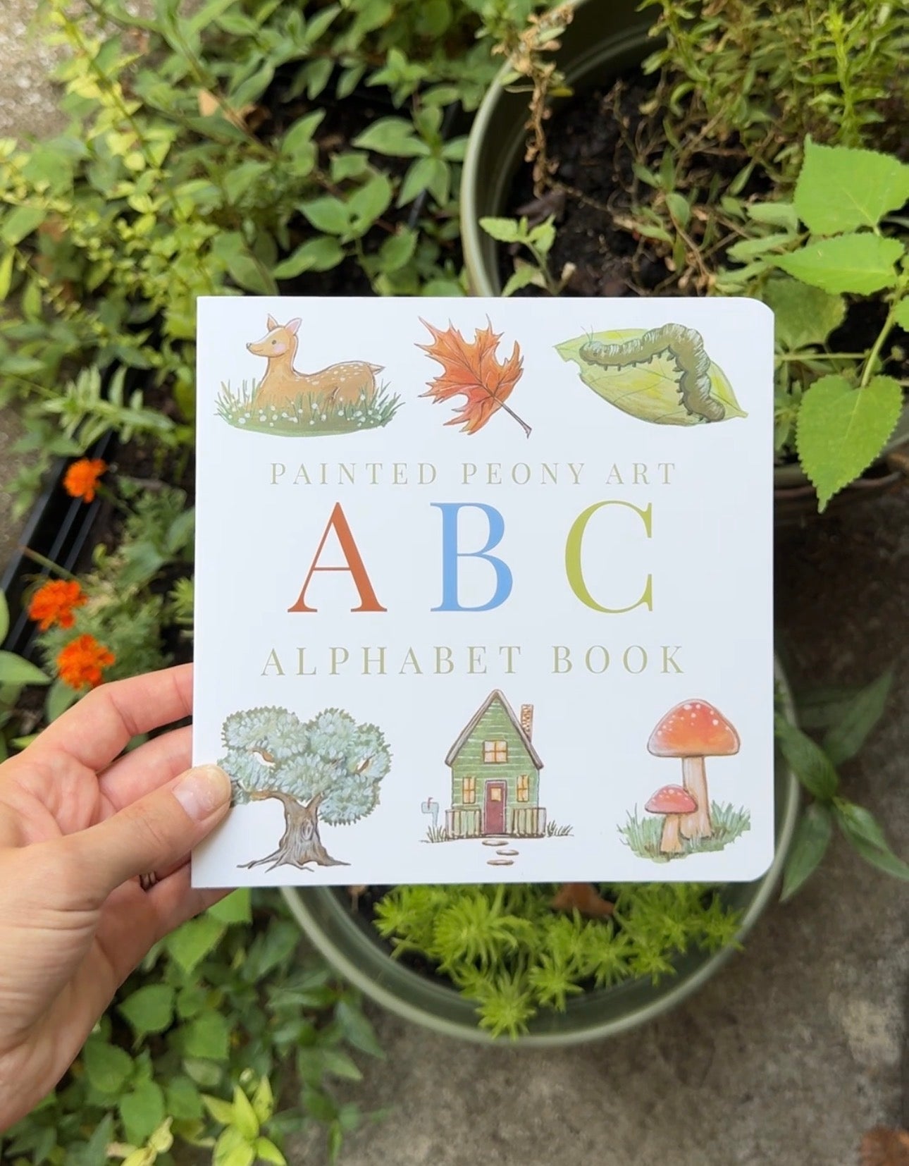PREORDER - ABC Illustrated Alphabet Board Book