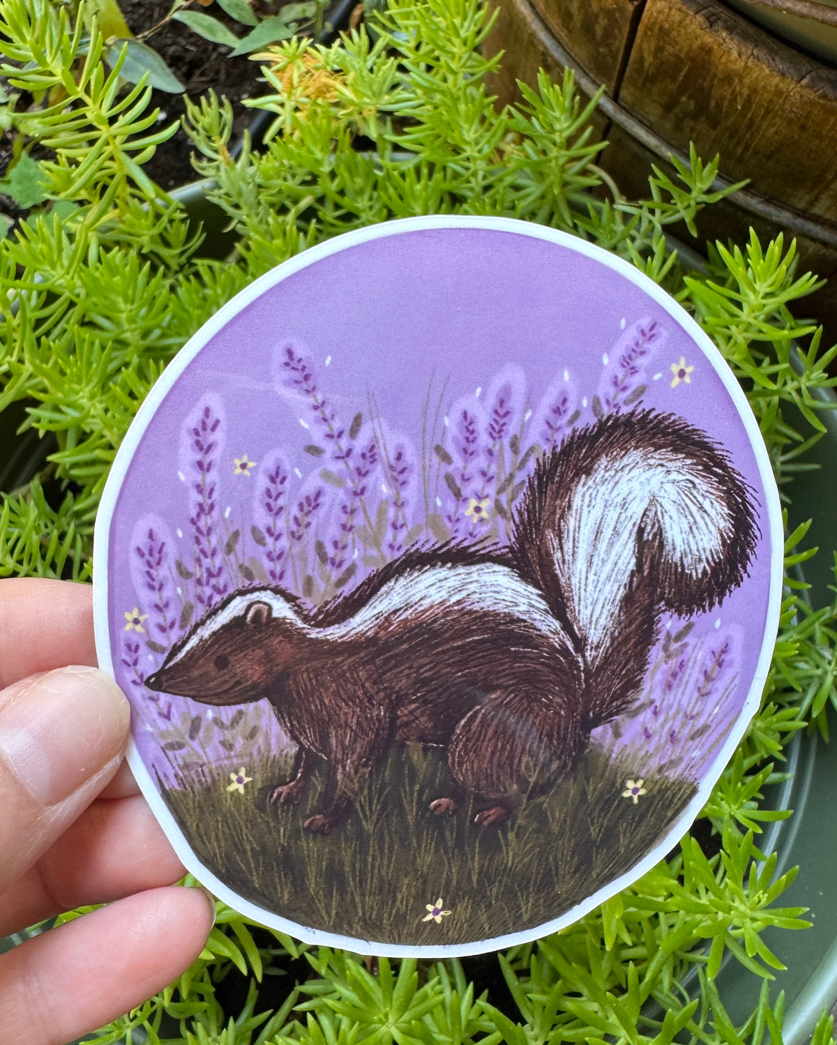 Lavender Skunk Sticker