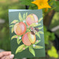 Peach Greeting Card