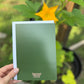 Peach Greeting Card