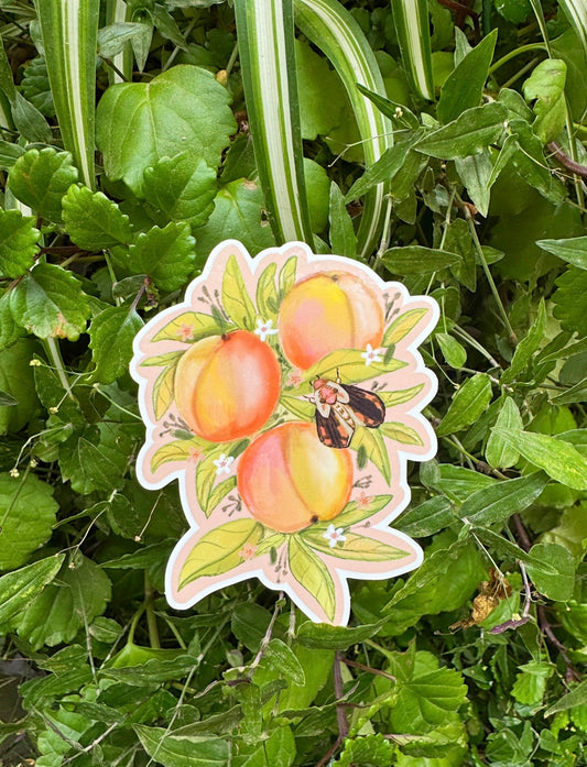 Peach Moth Vinyl Sticker